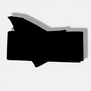 Ceinture Noire Kimono Obi 250cm Velours Unisexe